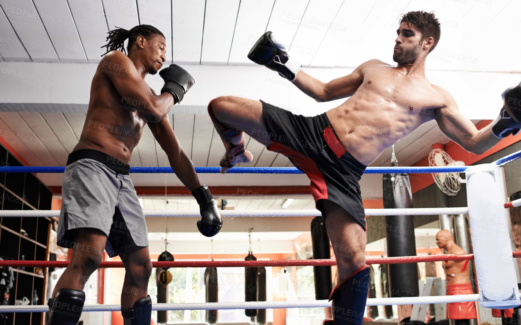 Buy stock photo Kickboxing, fight and men training for fitness and sport in gym, coach and athlete with workout and action. Energy, challenge and MMA with athlete together in ring for boxing, exercise and endurance