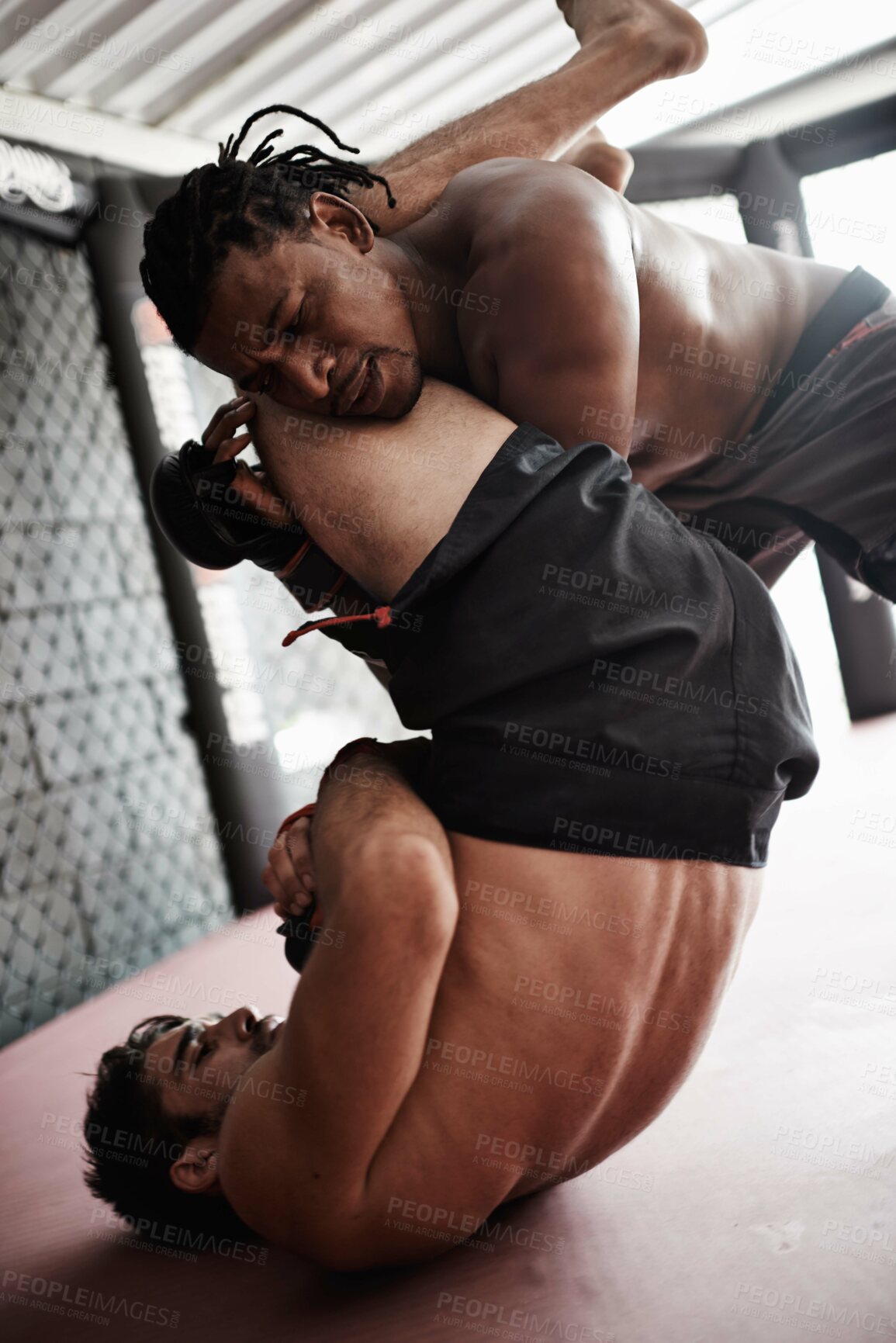 Buy stock photo Fight, wrestling and men sparring in gym for kickboxing competition, challenge and fitness with sports in cage. Match, strong fighter and resilience in exercise, practice and power in battle together