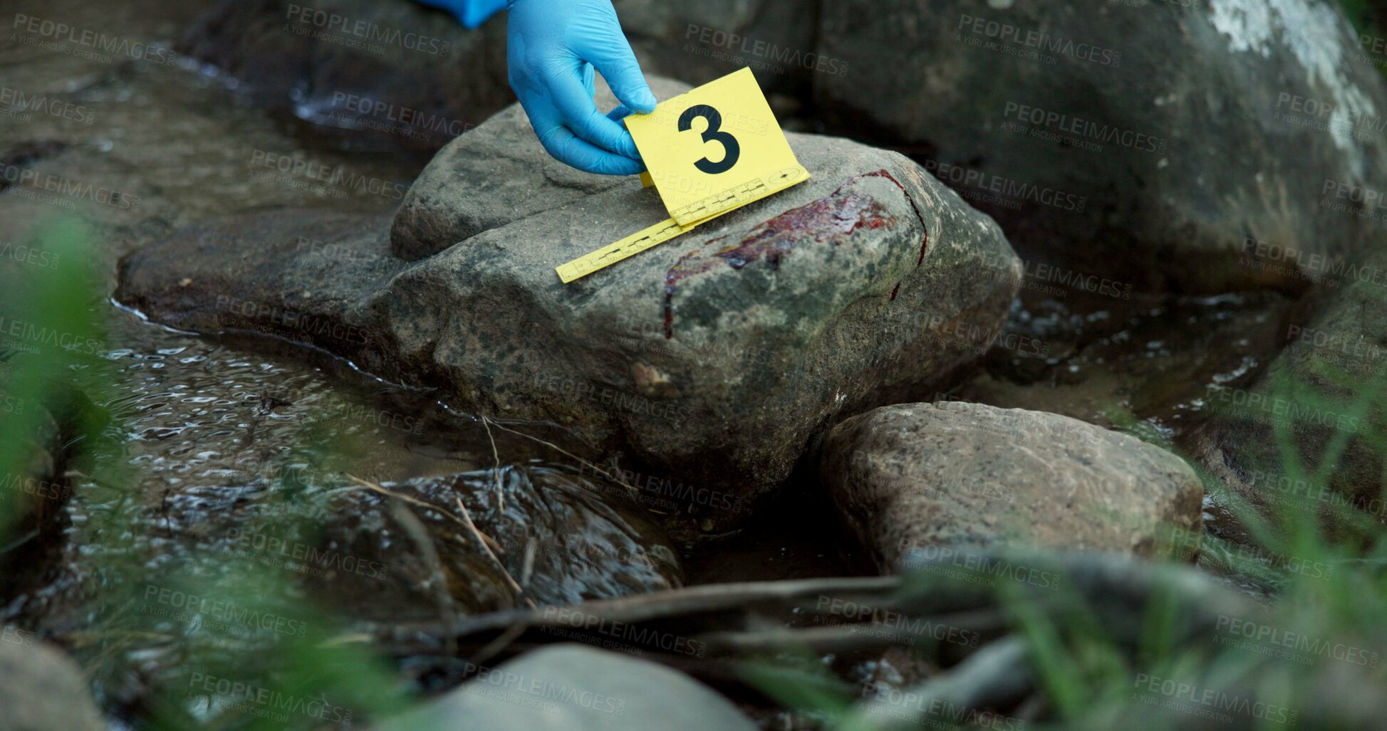 Buy stock photo Hands, evidence marker and forensic for investigation at crime scene with blood on rocks or gloves for safety in river. Csi expert, investigator and case research with observation by water stream
