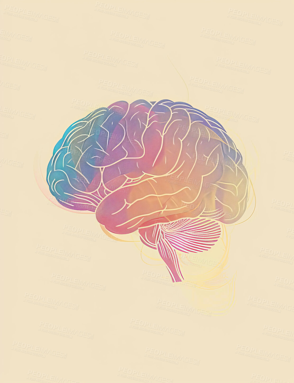 Buy stock photo Science, education or graphic illustration of brain for study of neurology, thinking or biology research. Creative, mind or learning of human psychology, neuroscience and medical anatomy or knowledge