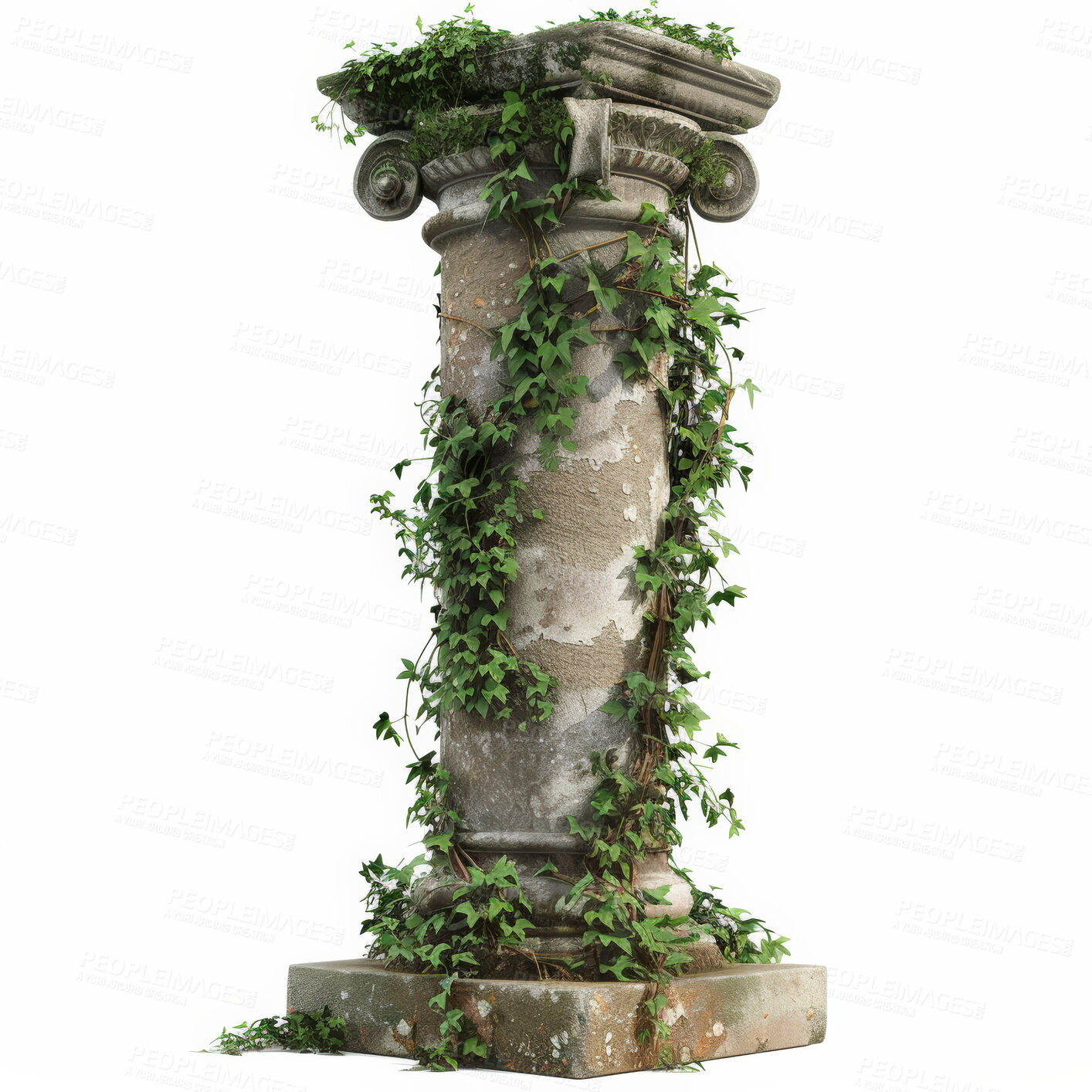 Buy stock photo Roman pillar, plants and growth with ecology and environment isolated on a white studio background. Garden design and eco friendly with historic ornament and cement with agriculture and mockup space