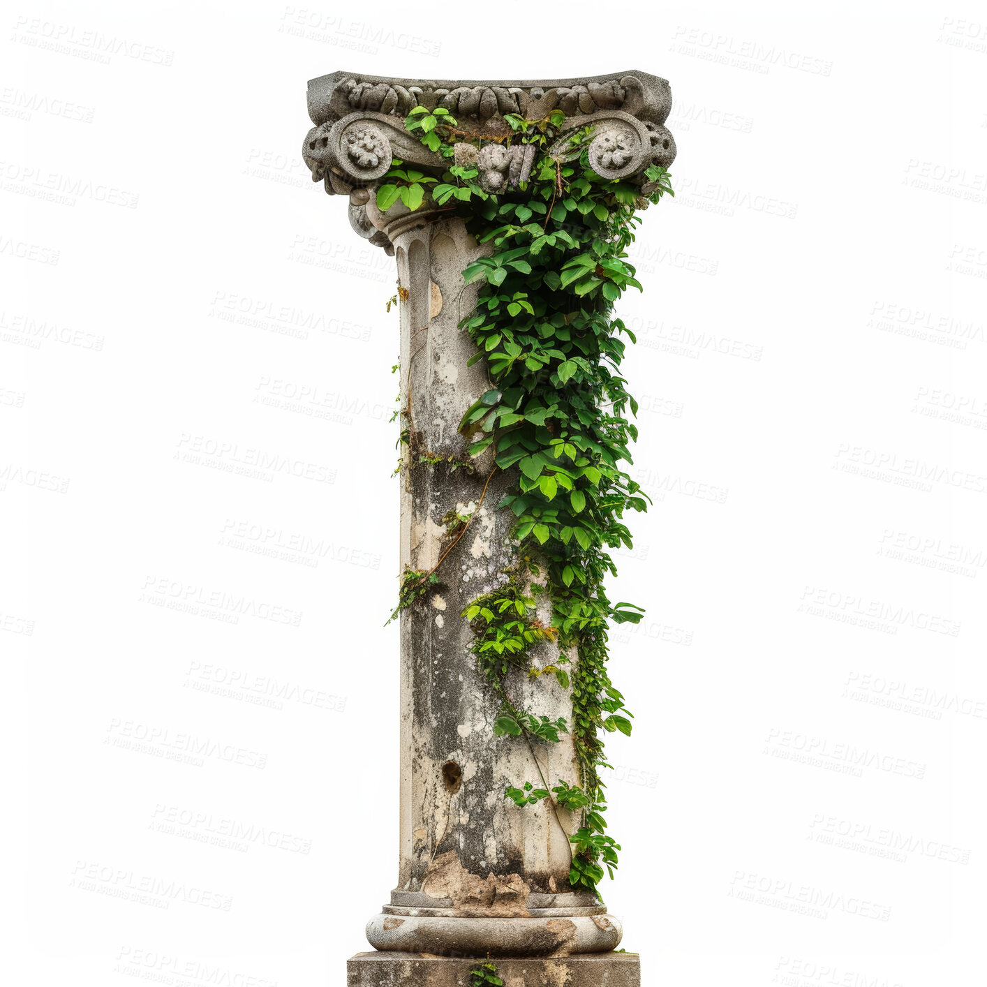 Buy stock photo Roman pillar, plants and growth with mockup space and environment isolated on a white studio background. Garden design and creative with artistic, eco friendly and cement with agriculture and ecology