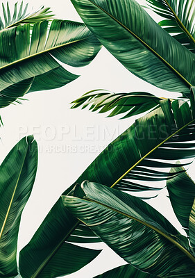 Green plants, palm and leaves with texture or pattern in studio isolated on a white background. Natural, closeup and floral growth of tropical vegetation, ecology and sustainability on a backdrop