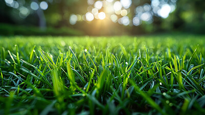 Buy stock photo Grass, closeup and bokeh in nature at field outdoor in the countryside in Switzerland. Lawn, park and garden with green plants for ecology, environment or light on summer landscape on background