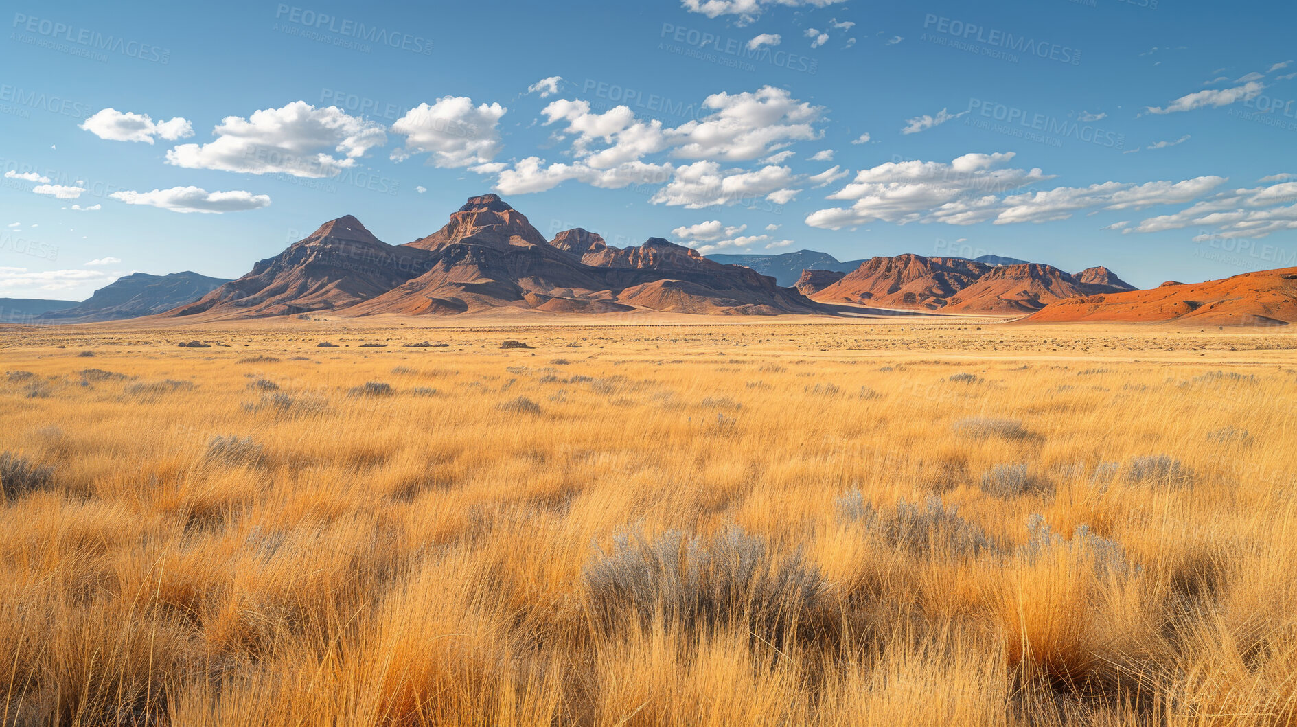 Buy stock photo Wild, outdoor and landscape with grass, mountain and nature in Canada, summer and peace in environmental. Scenery, countryside and calm for adventure, holiday and journey, freedom and forest or woods