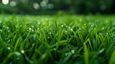 Buy stock photo Closeup, grass and plant with water drops, nature and green growth with outdoor blur. Lawn, meadow and environment for summer season, vibrant field and idyllic background with macro natural garden