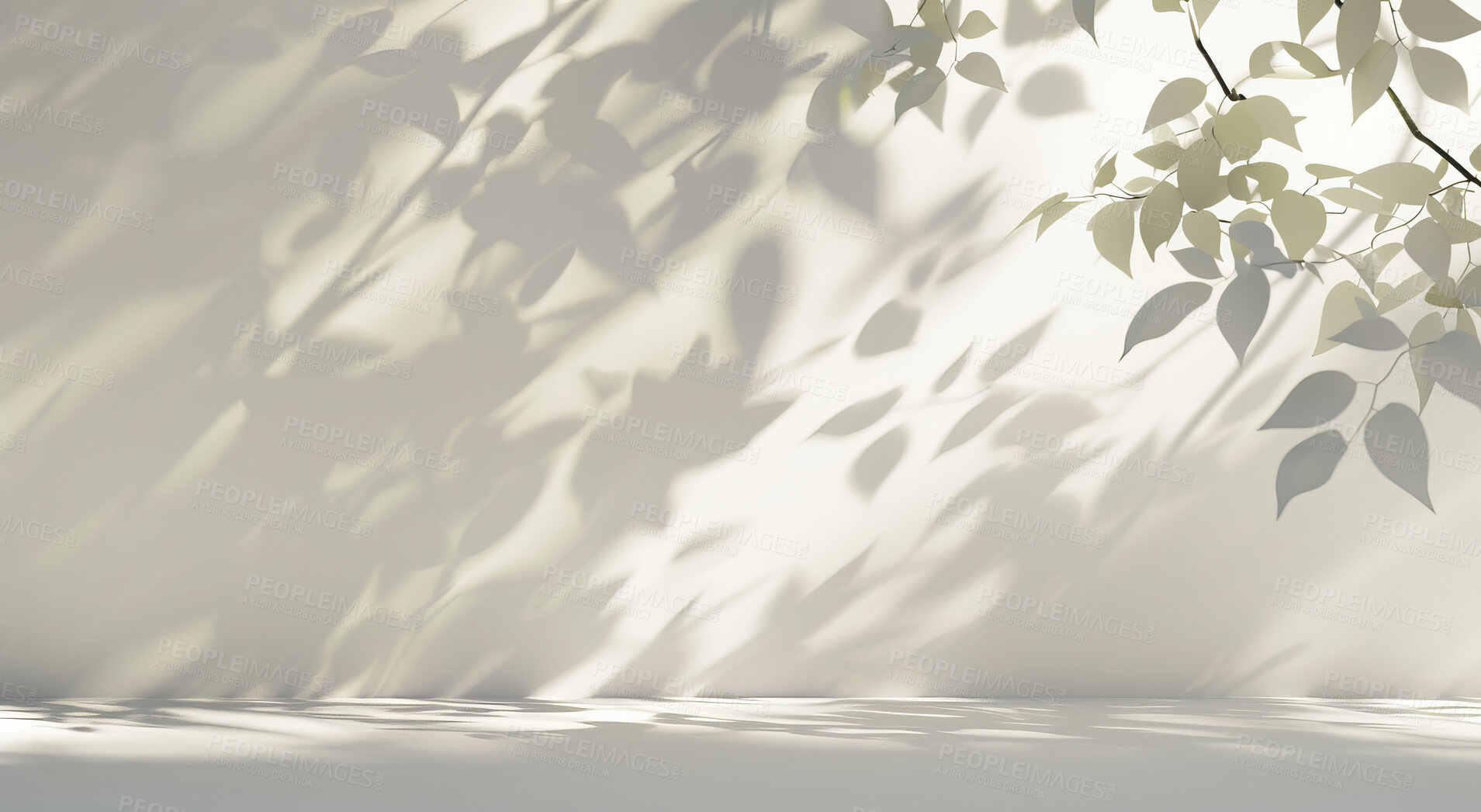 Buy stock photo Wall, shadow and silhouette of tree, leaves and plant outdoor with mockup space or white background. Art deco,  minimalism and abstract texture of environment, garden and pattern on natural light