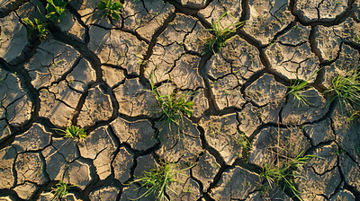 Dry, ground and drought as top view in natural disaster for climate change with cracks, soil or mud. Surface, sand and texture of environment as summer heatwave in Texas, patterns or global warming