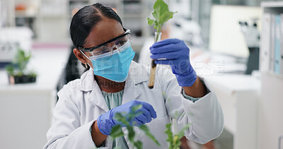 Science, mask and woman with plant in glass in laboratory for research, safety or medical engineering in nature. Biotech, botany and leaf sample, scientist or lab technician in checking agro study.