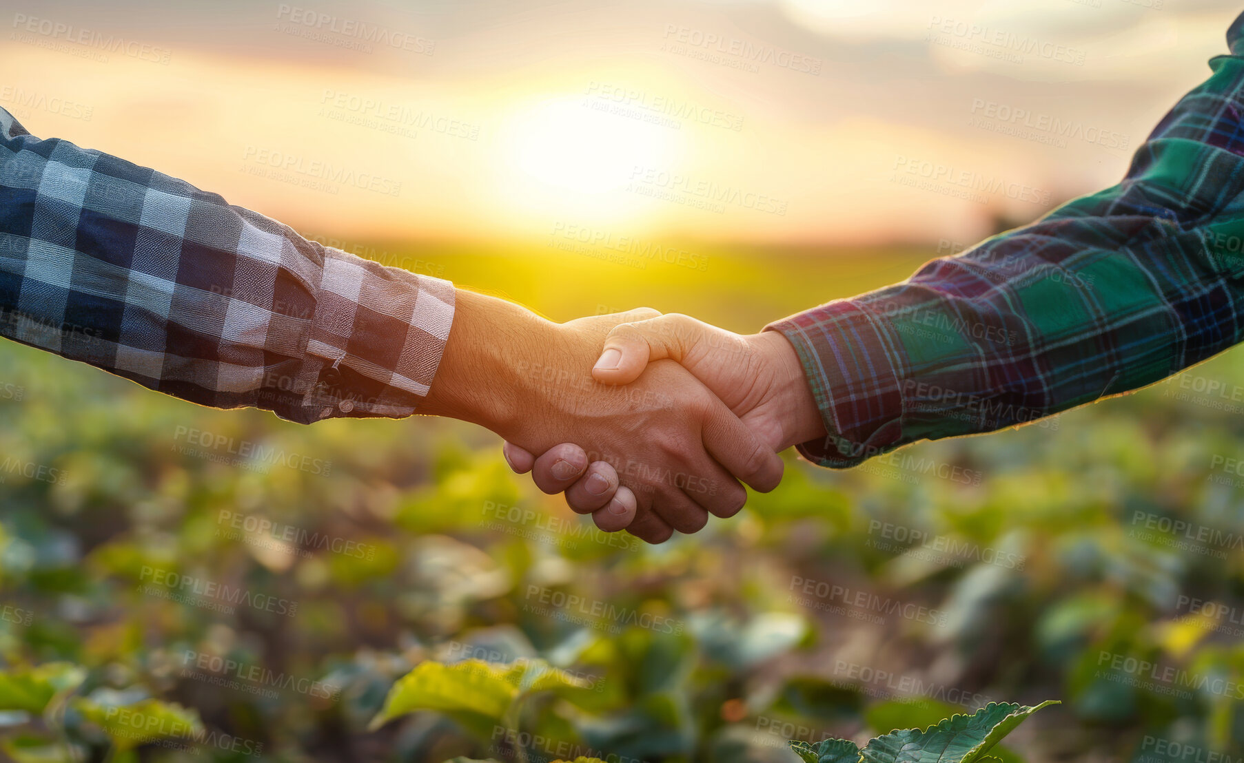 Buy stock photo Handshake, people and deal in countryside with partnership with shaking hands in closeup for business meeting. Agreement, trust and hustle with well done for agriculture industry with reputation