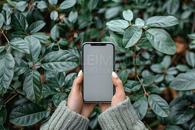 Phone screen, hands or woman in park for travel, search or taxi location, transport or service on mockup. Smartphone, space and nature safety app for forest, leaf or poison ivy plant identification