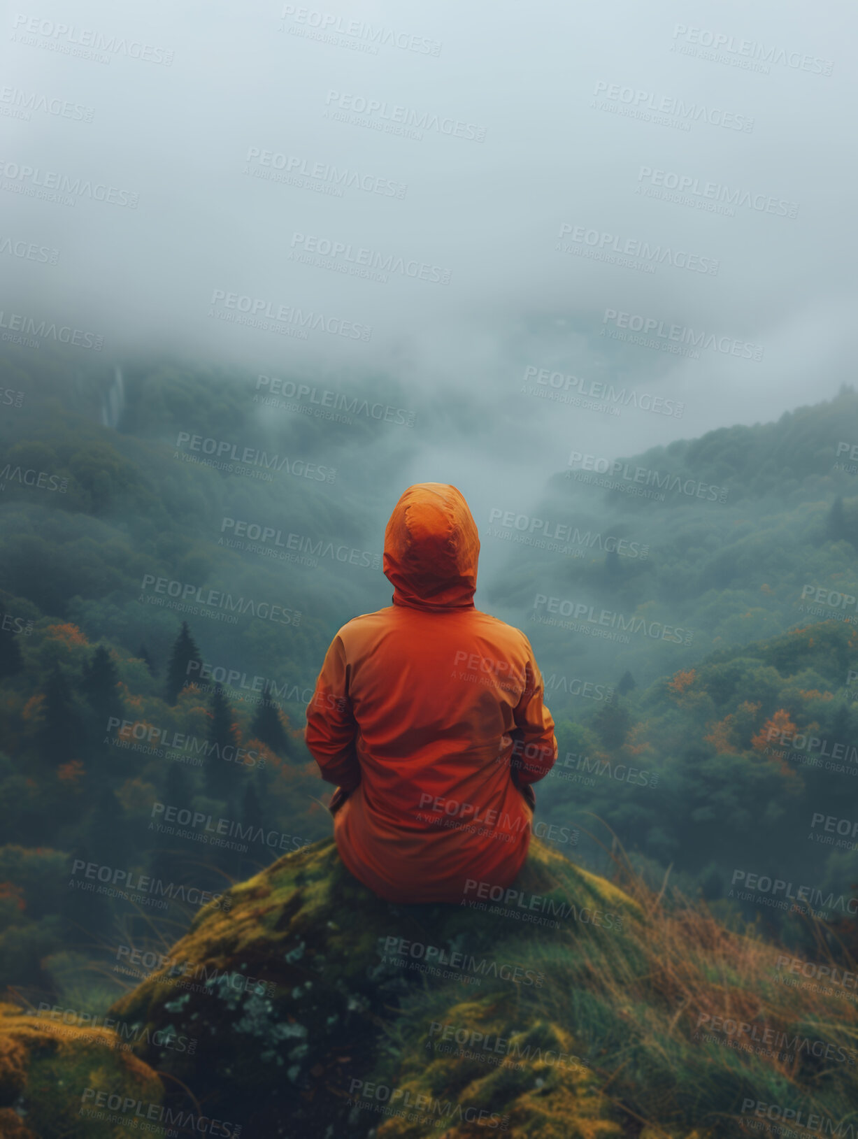 Buy stock photo Person, nature and mountain for peace, hiking and zen to clear thoughts with back view. Calm, hiker and stress relief with trees, mist and clouds for journey or adventure to reset mental health