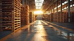 Warehouse, pallet and storage with logistics, stack and wholesale distribution for supplier. Facility, shipment and freight for cargo, transportation and stock delivery with lumber storehouse