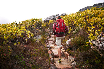 Buy stock photo Hiking, nature trail and man back with backpack, travel and adventure on mountain path with plants. Journey, fitness and walking with camping gear and bag for exercise and explorer with holiday