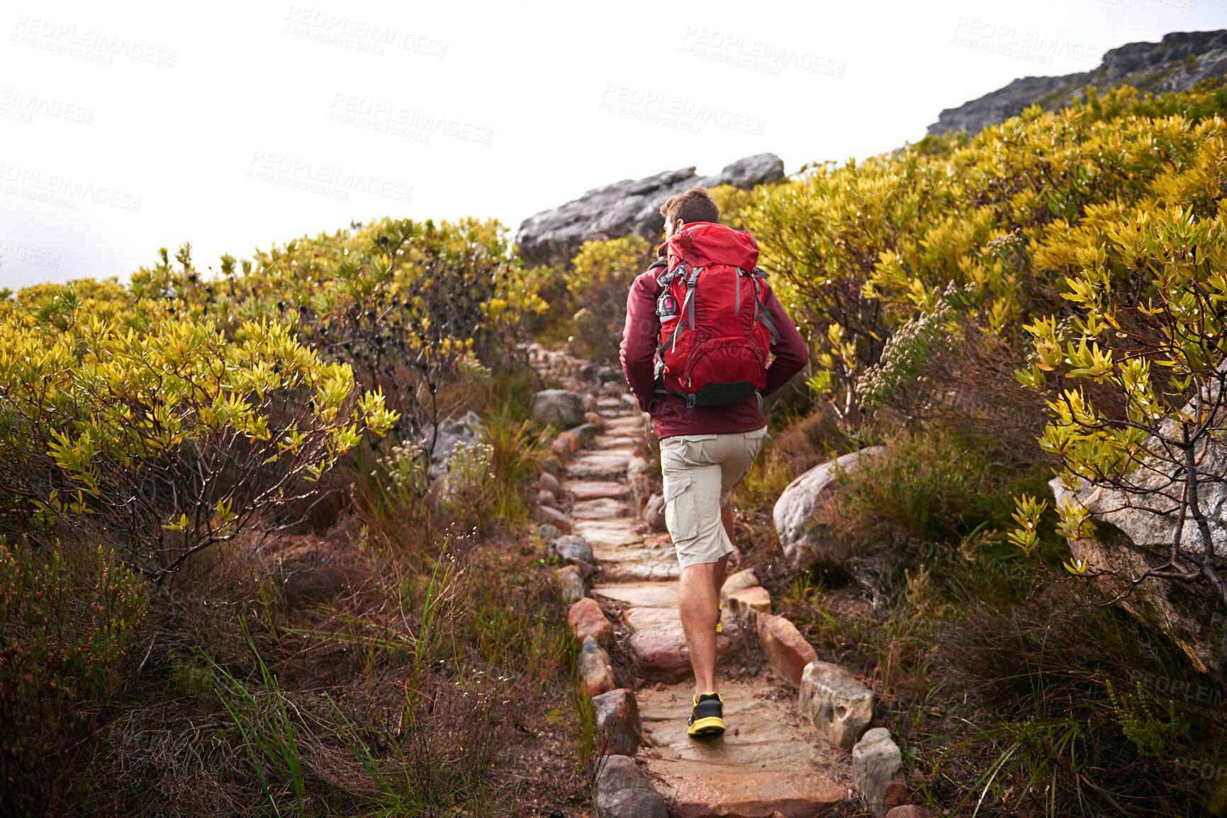 Buy stock photo Hiking, nature trail and man back with backpack, travel and adventure on mountain path with plants. Journey, fitness and walking with camping gear and bag for exercise and explorer with holiday