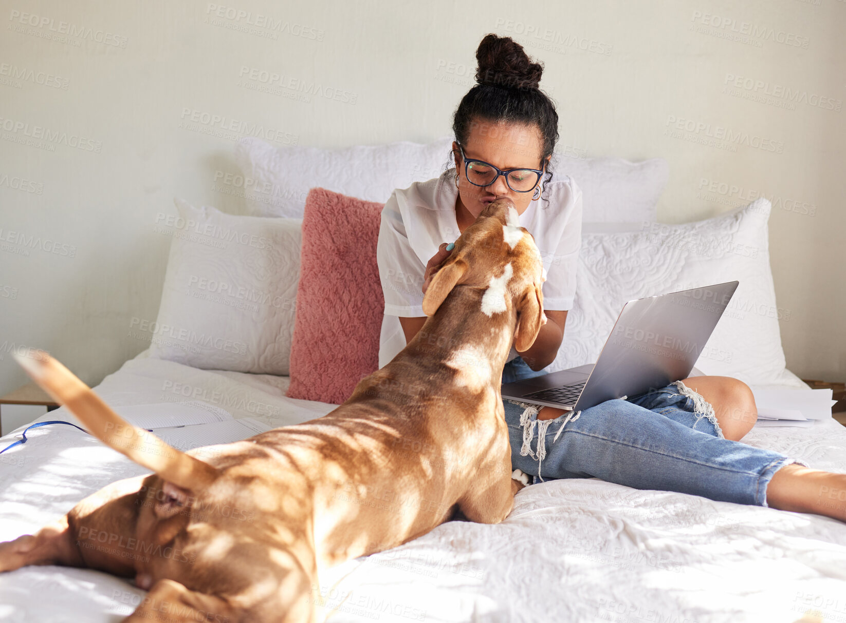 Buy stock photo Woman, dog and kiss in a bedroom with remote work, laptop and bonding of rescue animal in a house. Pet, happy and freelancer with foster puppy together in home with calm and relax with computer