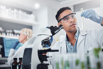 Black man, scientist and lab with test tube research, microscope and focus for agriculture study with plant. Science team, glass vial and plants for medicine, pharma and stop virus, bacteria or germs