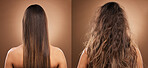 Hair care, beauty and back of woman in studio with shiny, clean and messy dirty hairstyle. Health, texture and model with knots before keratin treatment on a brown background