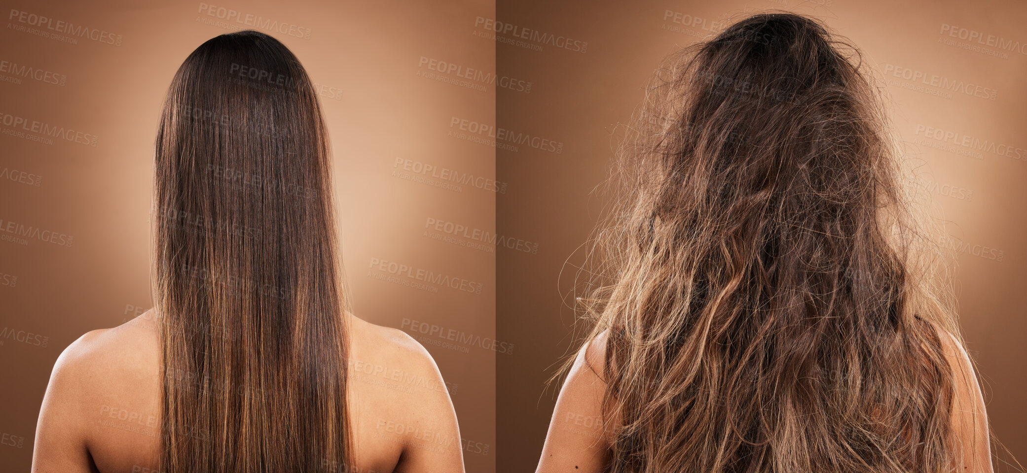 Buy stock photo Hair care, beauty and back of woman in studio with shiny, clean and messy dirty hairstyle. Health, texture and model with knots before keratin treatment on a brown background