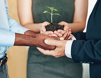Buy stock photo Business people, growth and hands with plant with teamwork, solidarity and sustainability of corporate company. Eco friendly, earth day and hope of professional with soil and dirt for environment