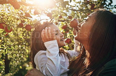 Buy stock photo Happy, mom and child with apple from tree on farm, orchard or relax in garden with nature on vacation. Growth, mother and daughter with fruit from sustainable agriculture, environment or healthy food