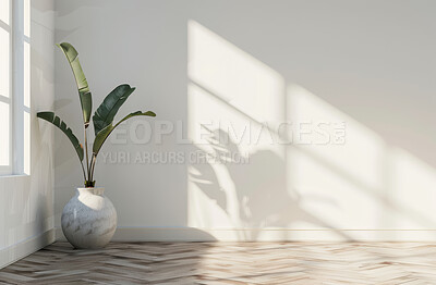 Home, plant and interior of wall with mockup space or shadow on empty background. House, green leaf and pot in apartment with sunshine on window, floor or minimal design for decoration of living room