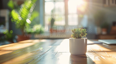 Flare, interior and potted plant on table in office with space for corporate or professional decor. Background, business and desk with plants on wooden surface in workplace for natural decoration