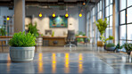 Business, interior and potted plant on table in office with space for corporate or professional decor. Background, desk and green with plants on wooden surface in workplace for natural decoration