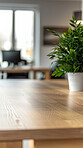 Office, design or empty interior with plant, table or desk for meeting or conference in workspace in business. Productivity, room or space for professional work, startup or floral pot with furniture