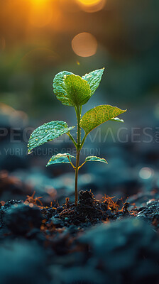 Buy stock photo Plant, growth and mud in nature for sustainability, seedlings or fertiliser soil. Bokeh, agro and green leaves with sapling for natural environment, earth day or spring for eco friendly park