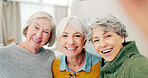 Selfie, fun and senior woman friends happy in a home for a visit during retirement together. Portrait, smile and social media profile picture with a group of old people in a house for bonding