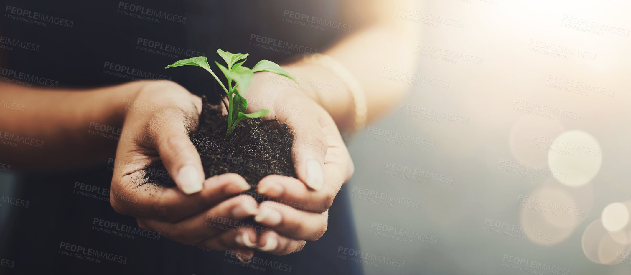 Buy stock photo Business person, plant and soil in hands for accountability, sustainability or investment growth. Environment, eco friendly and hope for future with employee, opportunity and going green with mockup