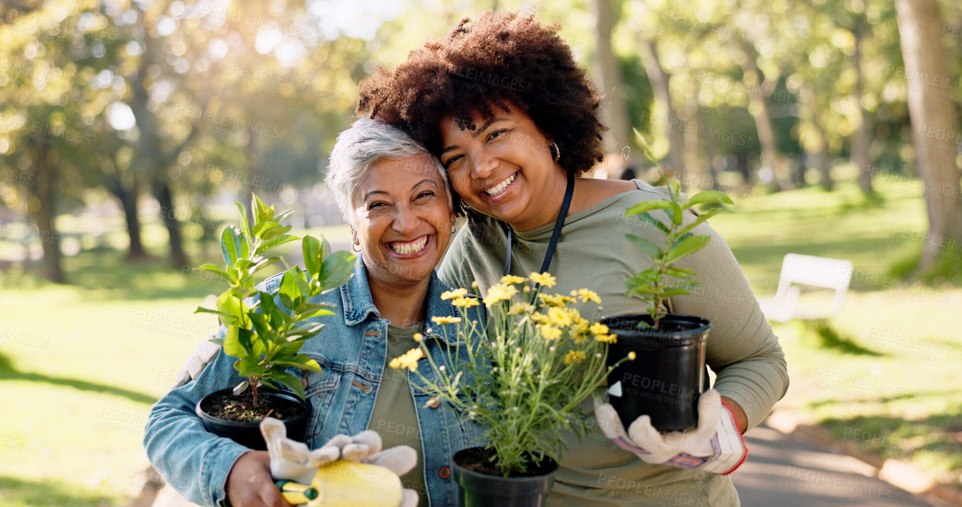 Buy stock photo Volunteer, teamwork and portrait of women with plants at park for gardening, earth day or sustainability in nature. Smile, people and flowers for community service, environment and support at charity