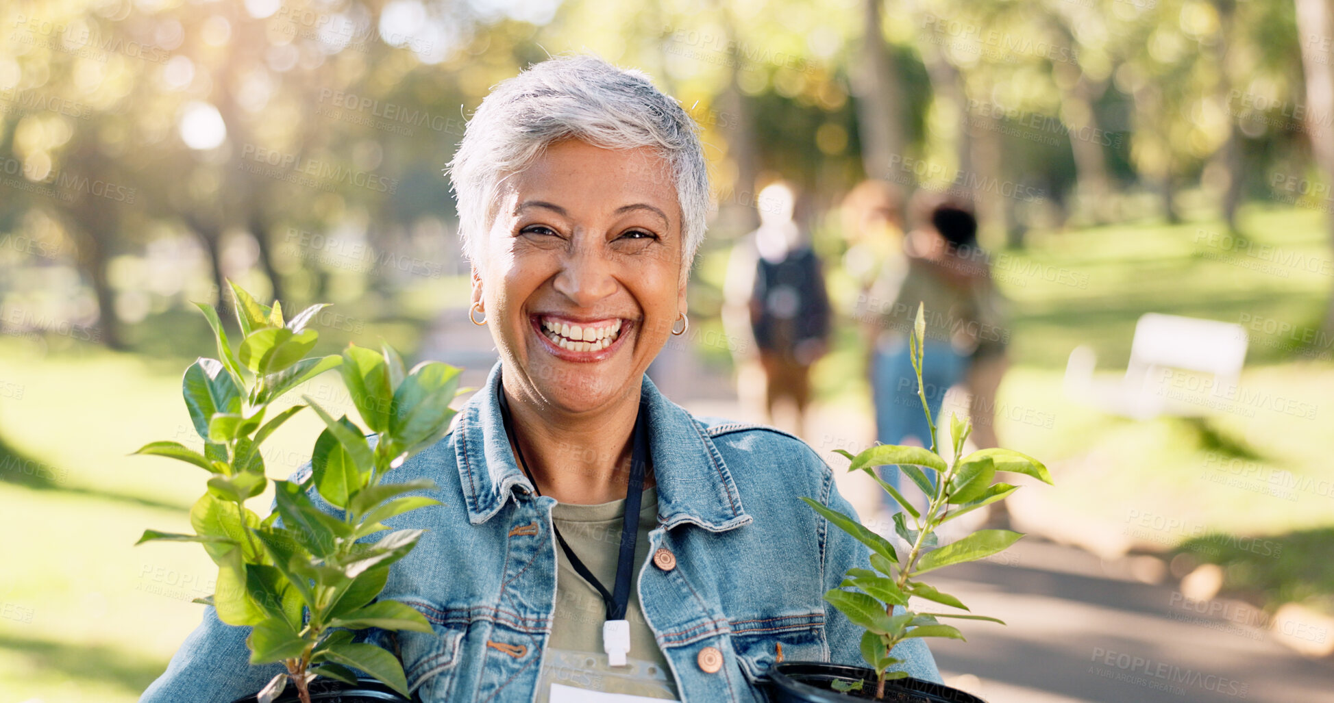 Buy stock photo Volunteer, portrait or happy woman with plants at park for gardening, earth day or sustainability in nature. Ecology, face or mature person with tree for environment conservation or community service