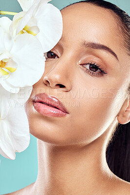 Buy stock photo Woman, flowers and portrait in studio with skincare, wellness and organic care on blue background. Natural beauty, female person and orchids for feminine hygiene or purity, growth and delicate skin