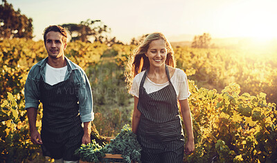 Buy stock photo Vegetables, crate and smile with couple on farm for agriculture, growth and support. Help, bonding and harvest with man and woman in field of countryside for nature, sustainability and environment