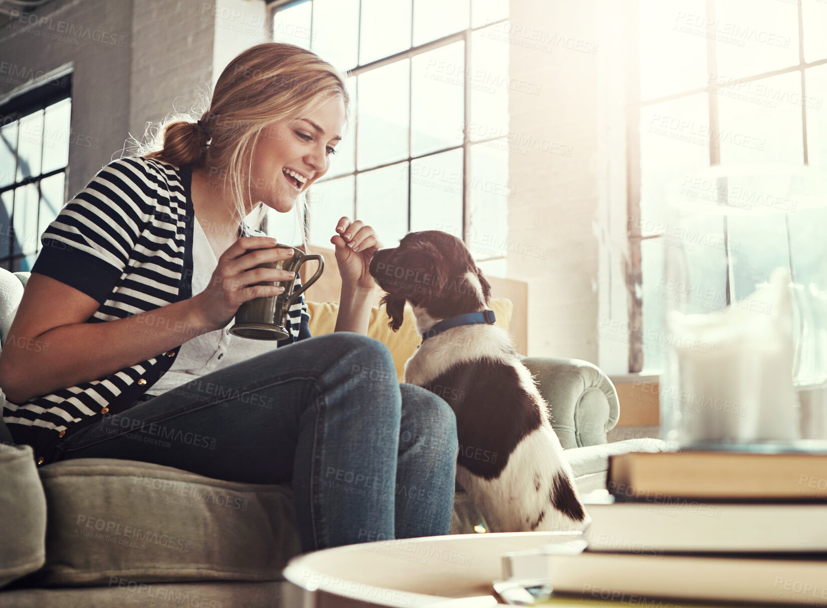 Buy stock photo Dog, coffee or happy woman in home to relax on living room sofa in house, lounge or apartment. English spaniel, drinking tea or person with love, wellness or support for bonding with fun pet animal