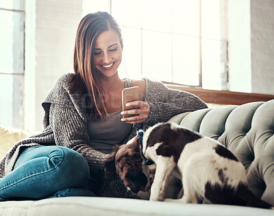 Buy stock photo Woman, pet and dog on sofa with smartphone for social media, smile and memories in living room. Happy, owner and care in house with doggy mom, app and positivity or love for animal with lens flare.