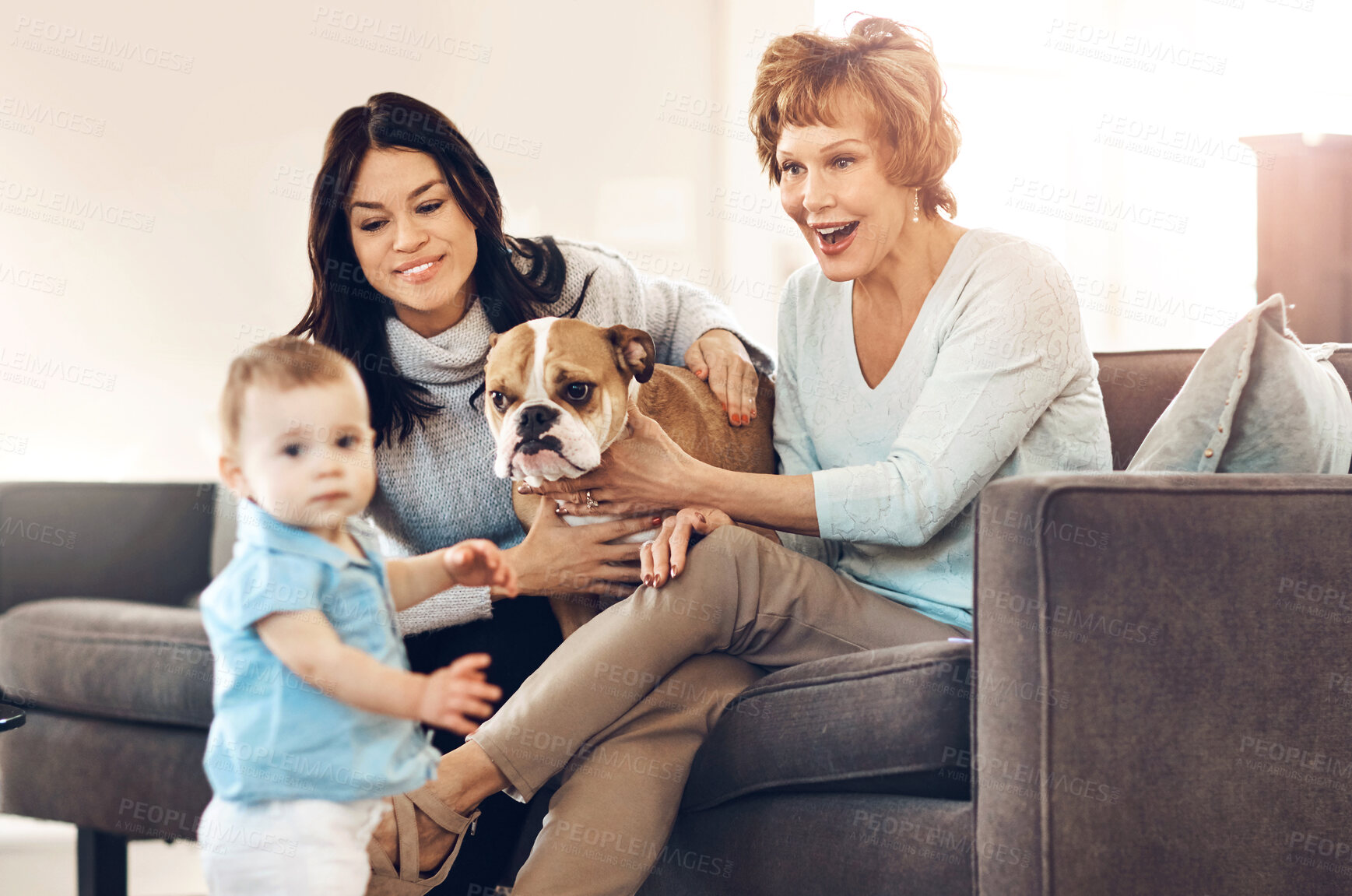 Buy stock photo Mother, child and grandmother with dog on sofa in home for bonding, relax and happy for playing with pet. Family, parent and grandparent with baby in living room for security, trust and companion