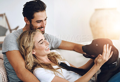 Buy stock photo Dog, love or relax with man and woman on sofa in living room of home together for pet bonding. Adoption, animal and smile with happy couple petting rescue puppy in apartment for safety or security