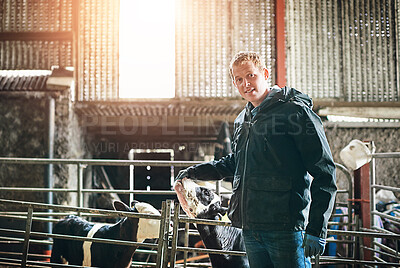 Buy stock photo Farming, portrait and man in barn with cow, confidence and smile with sustainable business for dairy production. Growth, development and happy cattle farmer with calf in pen for animal management