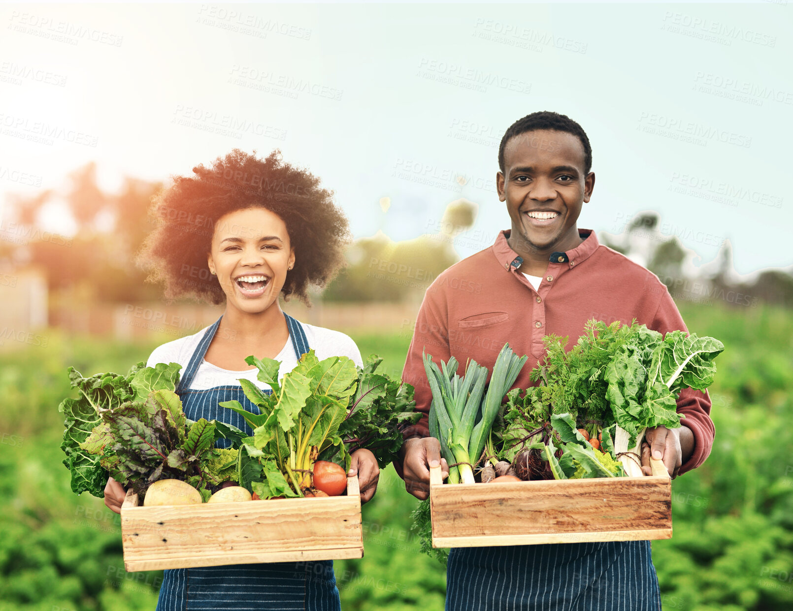 Buy stock photo Portrait, couple and farmer with vegetables in box for agriculture, harvest or organic food production. Plants, happy man and woman at farm with crate with interracial partner laughing at countryside