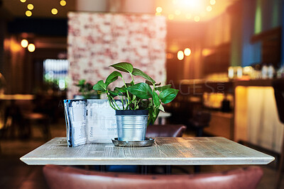 Buy stock photo Table, plant and menu in empty restaurant with interior design for service, hospitality and rustic. Luxury, space and cafe with furniture for fine dining, lunch or coffee break with decor in New York