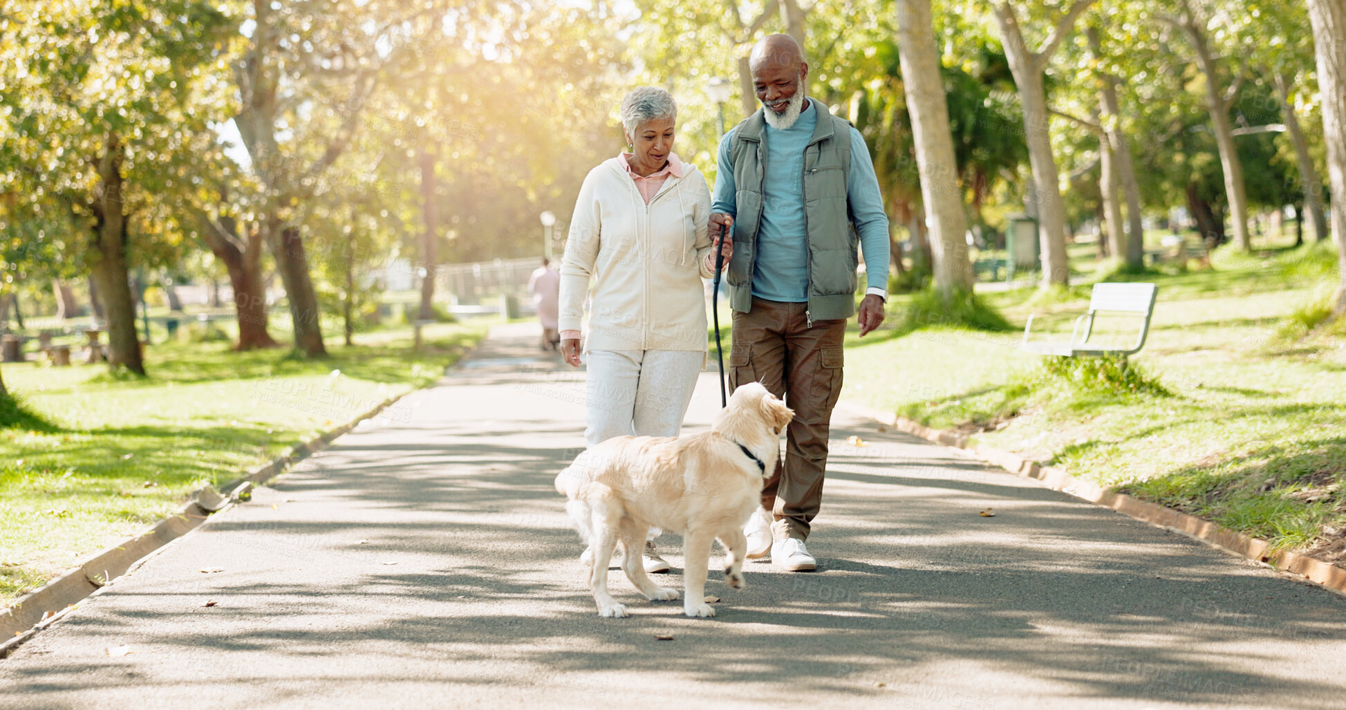 Buy stock photo Love, senior couple and dog walking in park together for exercise, health and outdoor wellness. Active, man and woman with labrador pet animal for morning fitness in nature, adventure or retirement