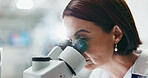 Woman, scientist and forensic with microscope for research, breakthrough or new discovery at laboratory. Female person or biologist looking in  scope or biotechnology for experiment, test or exam