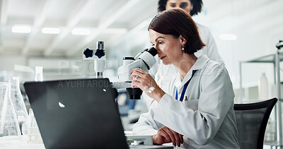 Buy stock photo Chemistry, laptop and women in lab, microscope and testing with science experiment, research and medicine. Results, researcher or employees with equipment, pc or study with sample analysis or biotech