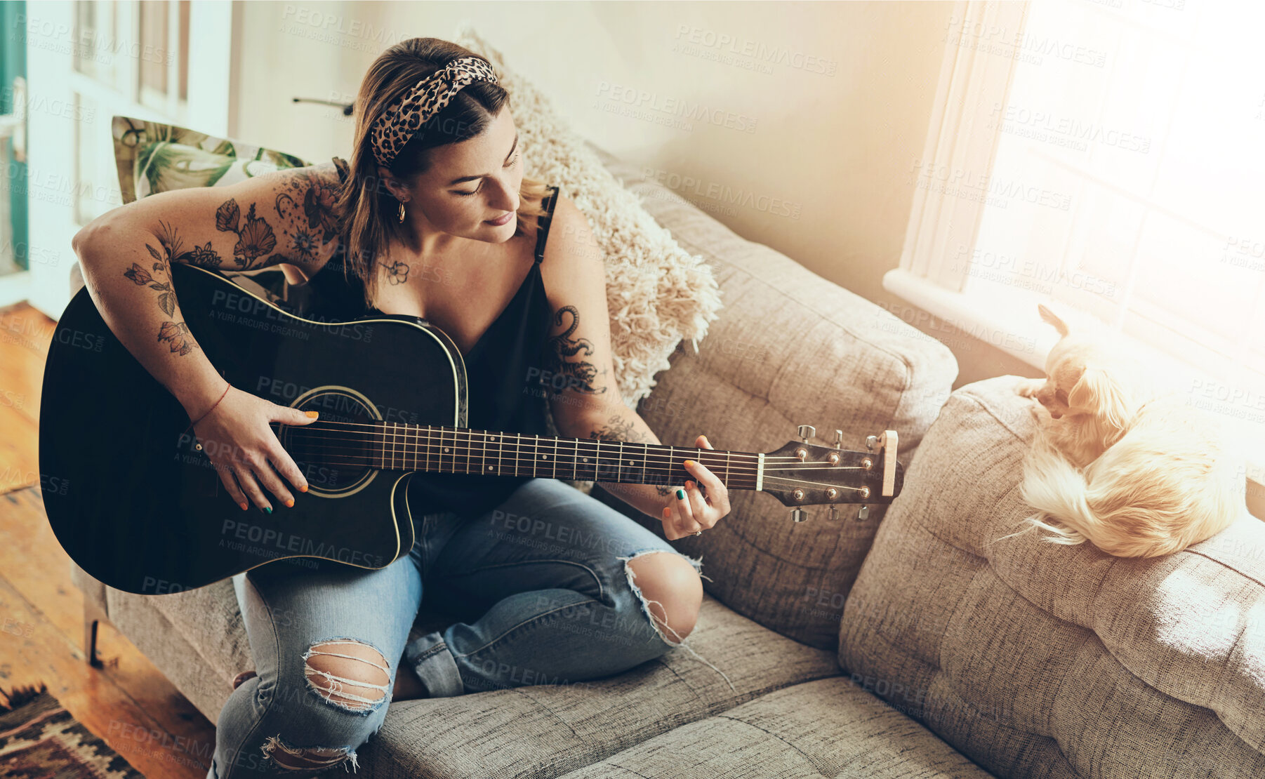 Buy stock photo Woman, dog and playing a guitar on sofa for music practice, learning chords and rehearsal for performance in home. Musician, artist and person with strumming strings on instrument for audio tuning