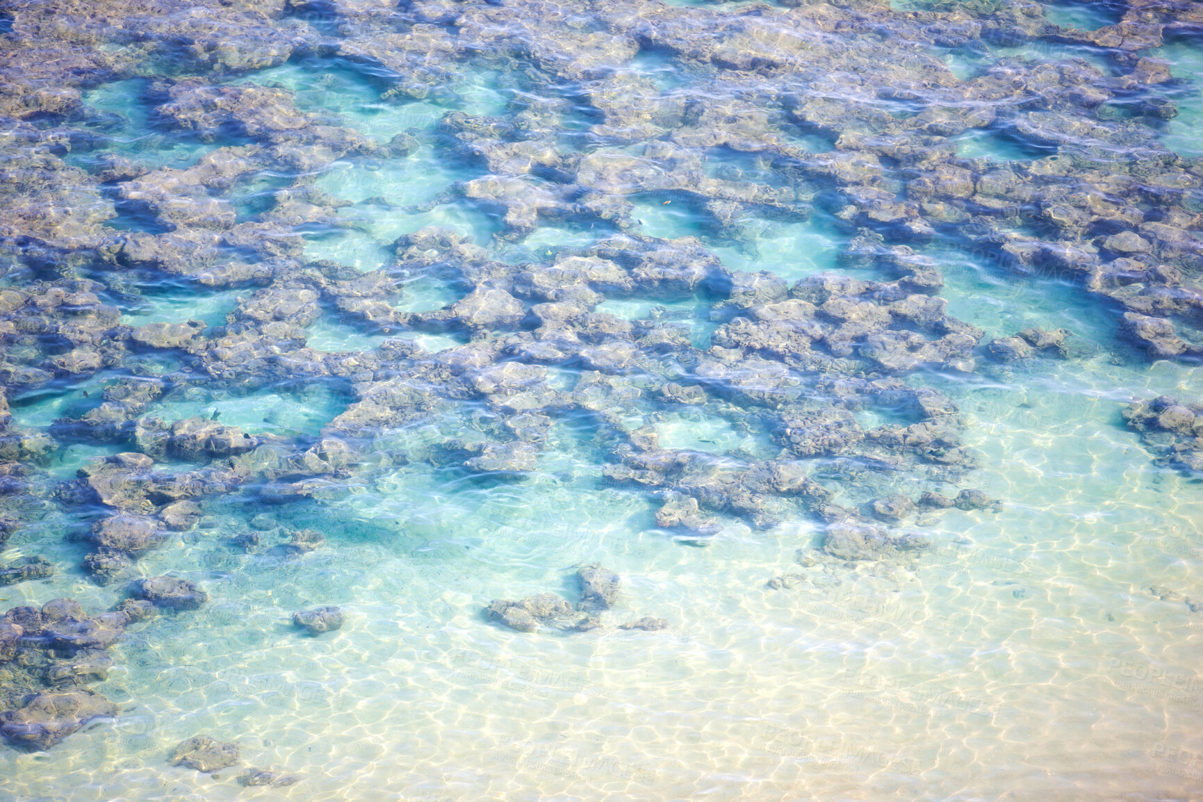 Buy stock photo Water, drone and female with boogie board at the beach for summer, vacation or swimming. Freedom, travel and aerial view of person swimmer in the ocean exploring coral reef, seascape or bodyboarding