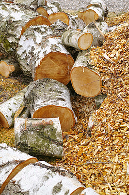 Buy stock photo Wood, pile and lumber on ground in environment for fuel, heat and natural material for construction. Stack, tree trunk and carpentry supplier with pattern, timber and sustainability with logging