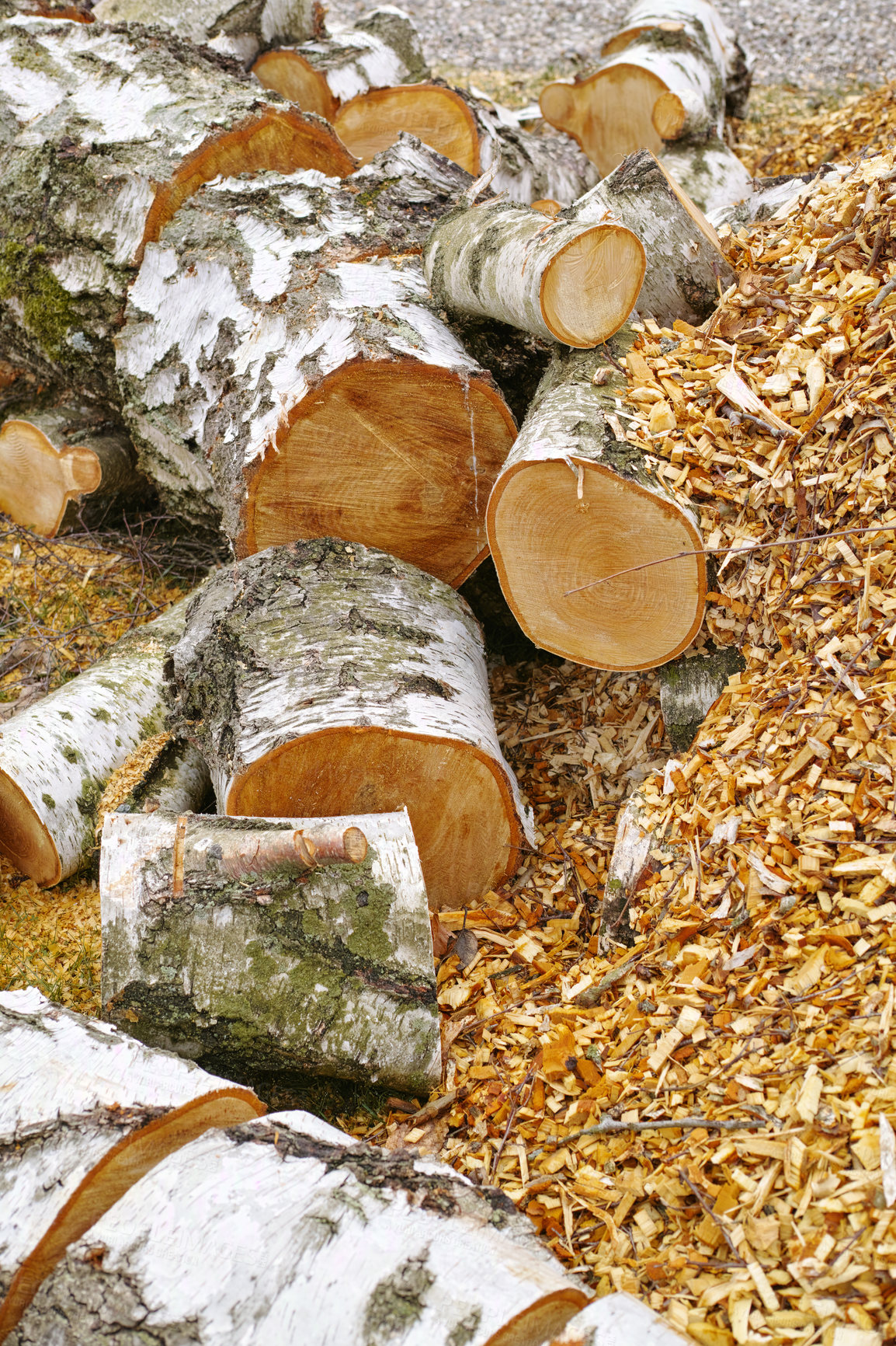 Buy stock photo Wood, pile and lumber on ground in environment for fuel, heat and natural material for construction. Stack, tree trunk and carpentry supplier with pattern, timber and sustainability with logging